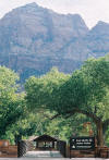 Zion National Park tours