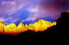 Zion tours