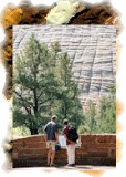 Zion tours