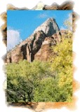 Zion tour
