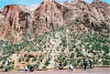 Zion trip