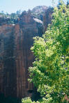 Zion tour