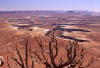 Zion tours Canyonlands Arches