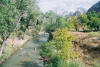 Zion tours
